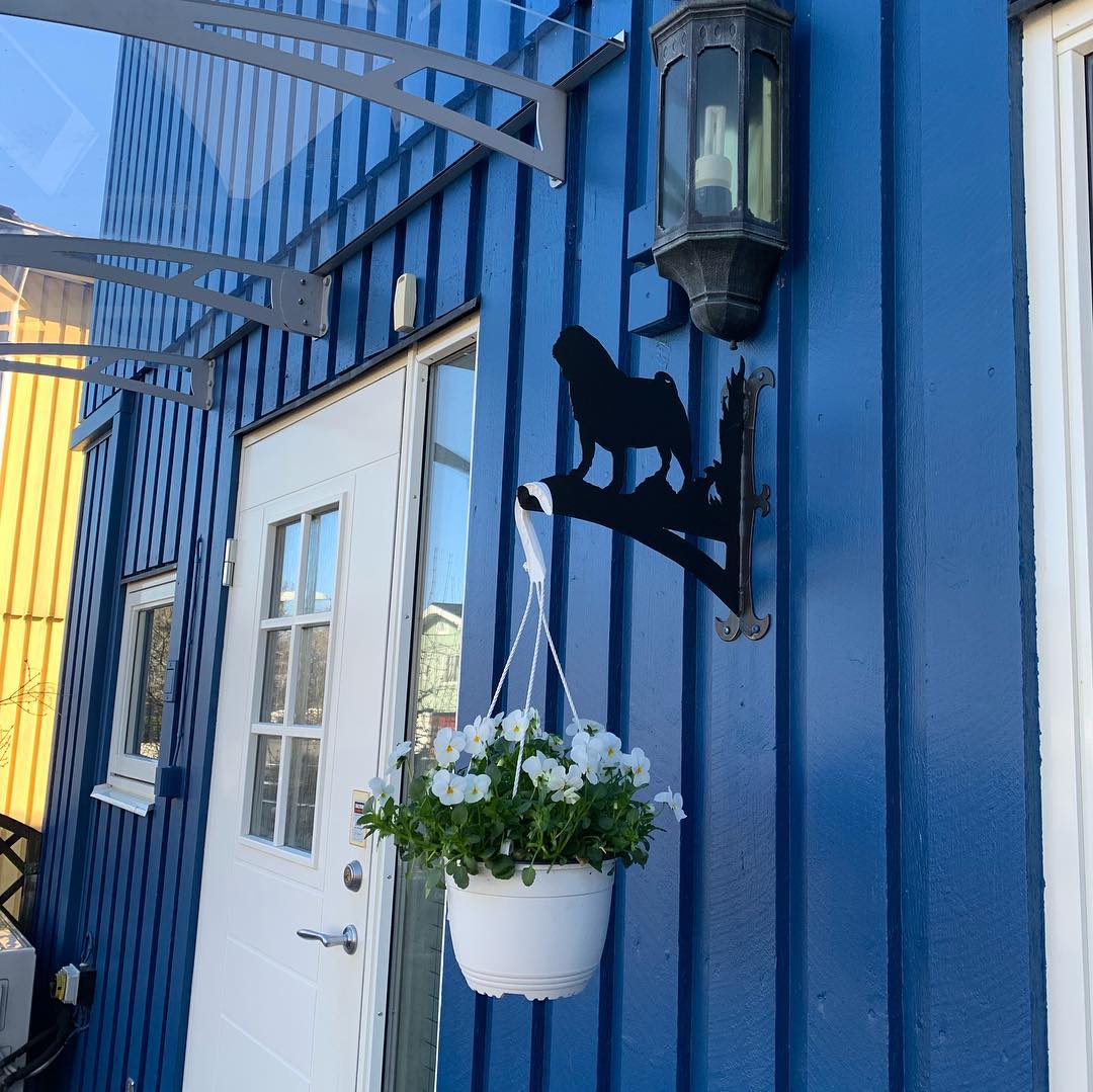 Utbilda dig till målare